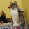 Отзыв от Анжела Чумакова